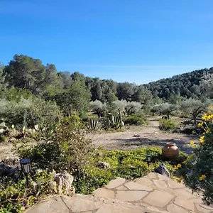 https://mas-de-mingall.catalonia-hotels.com